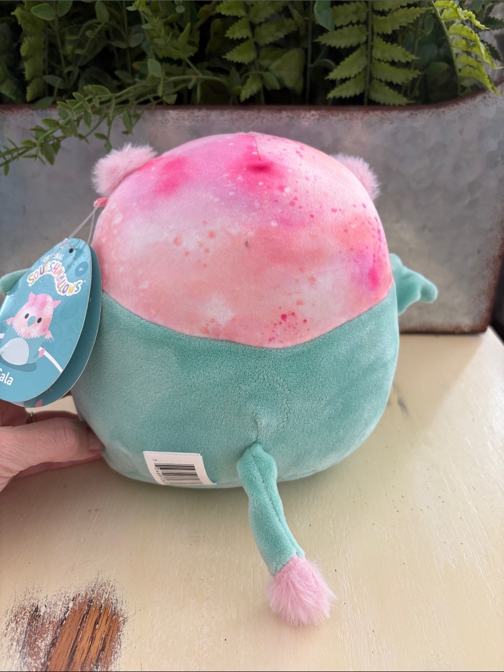 Squishmallows 8" Gala The Griffin Plush Soft Pink & Green Stuffed Animal NEW NWT - Picture 5 of 7